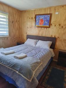 Brisas de Puerto Varas Cabin