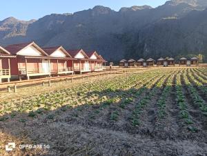 Konglor Khamchalern Guesthouse and Restaurant