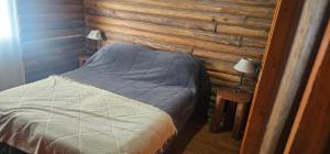 Cabañas BALCONES DEL PORTEZUELO - Mendoza