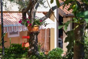 Apartment Vrsar 14164a