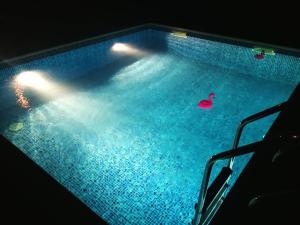 Apartment Split 14401a