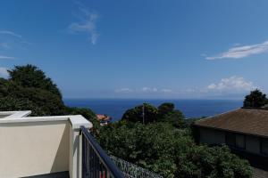 Ocean View Terrace Izu - Vacation STAY 19484