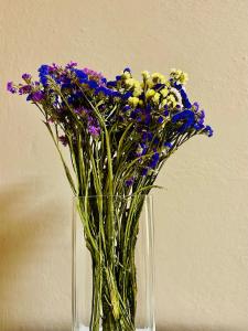 Midtown Cozy Apartment