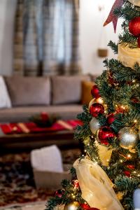 Slona, Heritage Home in Old Town Plovdiv