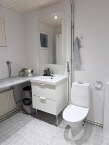 Nordic Home With Sauna near Rovaniemi City Center