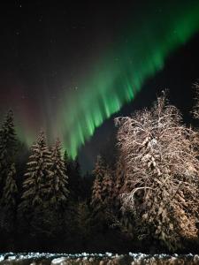 Nordic Home With Sauna near Rovaniemi City Center