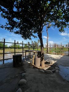 The Rustic Tree Farm