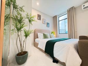 Sol Park View Hotel Phú Mỹ