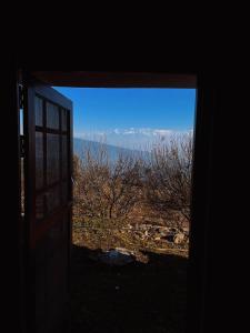 Ashas homestay