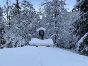 Apartment in Fulpmes near Stubai Glacier