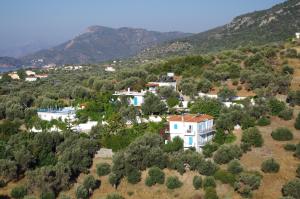 Apartments Jota Samos Greece