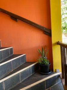 Family and Friends Lanta