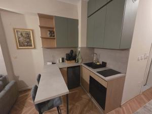 Peacefull studio in DT Skopje
