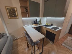 Peacefull studio in DT Skopje