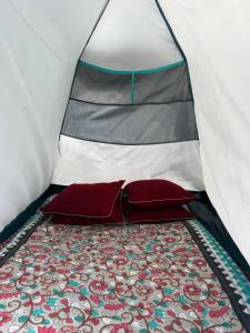 Western Castle Stay n lawn