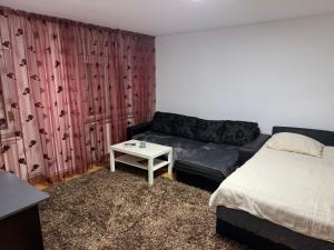 Apartament 50m2 cu pat matrimonial si canapea extensibila
