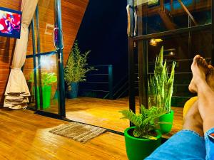 Eco Cabana Bellwood Kandy