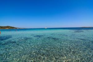 Bright apartment 300mt from the beach img20