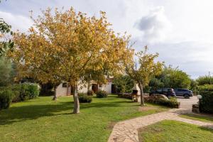 Cozy apartment 300mt from the beach