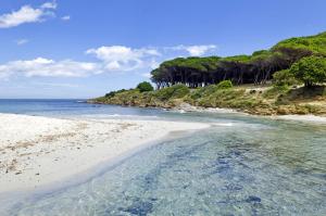 Cozy apartment 300mt from the beach img22