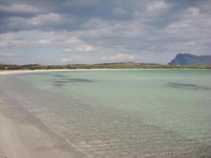 Cozy apartment surrounded by nature img32