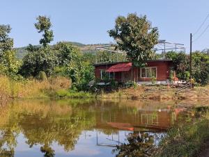 Hornbill, homestay a silent place, an entire bungalow to relax n enjoy