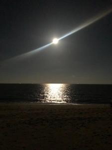 Beach Gardens Thasala