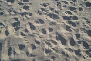 Beach Gardens Thasala