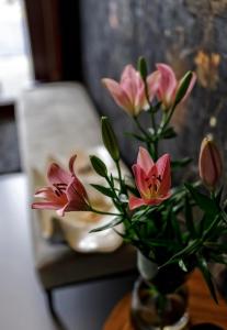 GRYF LUX Apartments in Old Town