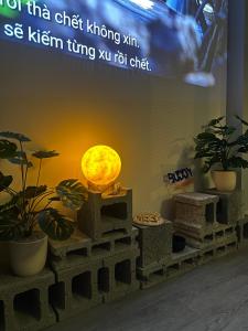 Phòng Riêng Gần Sân Bay - Tự Check-in 24h - Tiện Transit