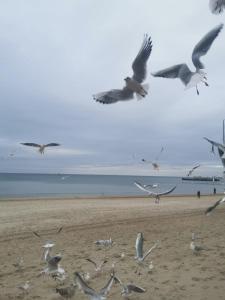 Apartament Reymonta przy morzu