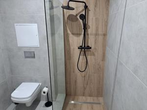 Apartmány Karpatia s historickým výkladom