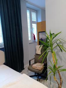 Studio w Kamienicy nad Motławą - Old town