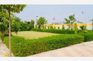 Pushp Vilas Resort - PVR