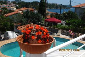 Hotel Rea Skiathos Greece