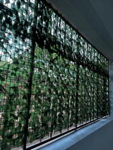 Jabali Furnished Homes