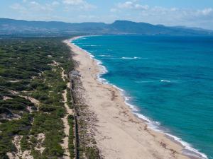 Lovely flat immersed in nature img34