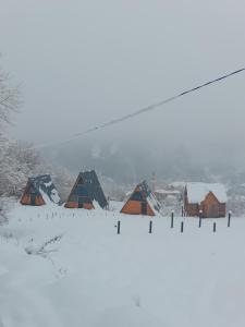 SunHouse