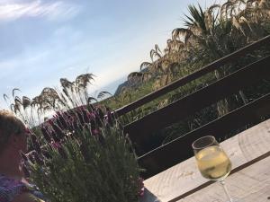 Lodge Cabin with Fabulous Views 2 - Farm Stay