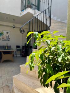 Casa Brullevi - villa u staroj jezgri s pogledom na more