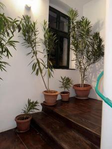 Central Hub Elite Brasov