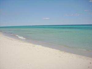 Apartment surrounded by nature img28