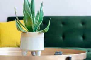 The City retreat - 1 BD Flat