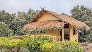 Ozone Valley Camp Khaoyai