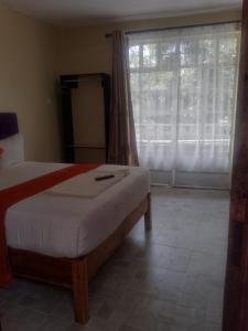 Wonderful Guesthouse