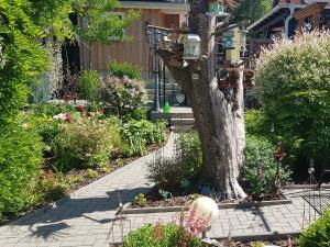 Ferienresidenz Naturoase Ferienhaus