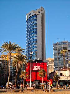 Amaryllis SeaYou Benidorm