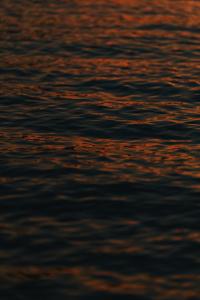 HOTEL FORK & KNIFE Miyajima - Opening in Mar 28th 2026