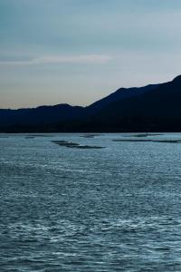 HOTEL FORK & KNIFE Miyajima - Opening in Mar 28th 2026