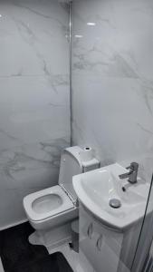 Newly Renovated Apartments in Earls Court